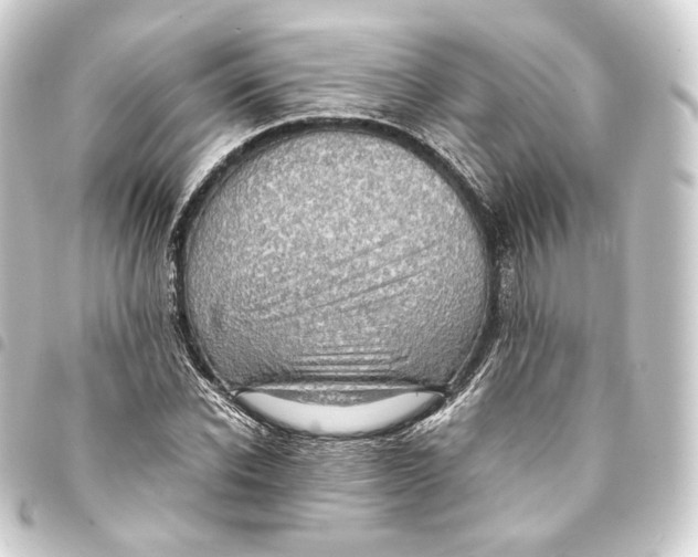 X0000093430926200711021031