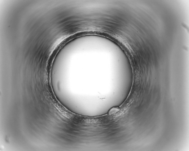 X0000093430927200711021031