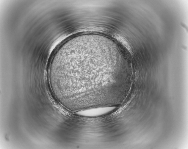 X0000093430928200711021031