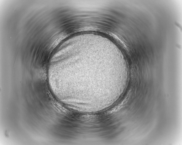 X0000093430929200711021031