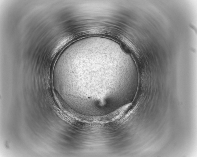 X0000093430930200711021031