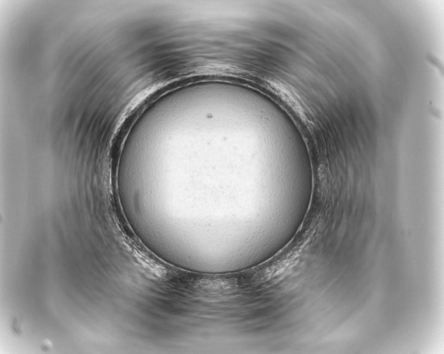 X0000093430931200711021031