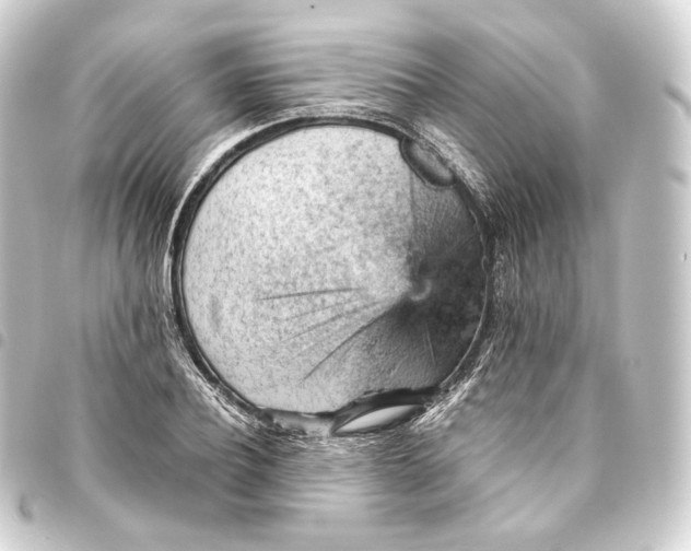 X0000093430932200711021031