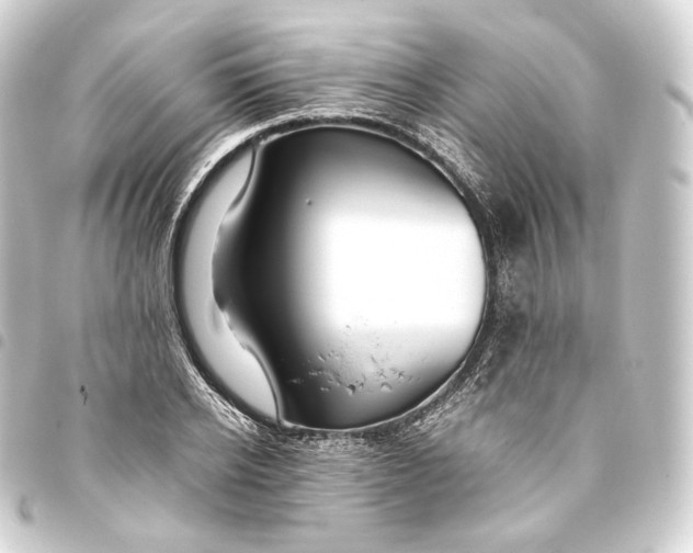 X0000093430934200711021031