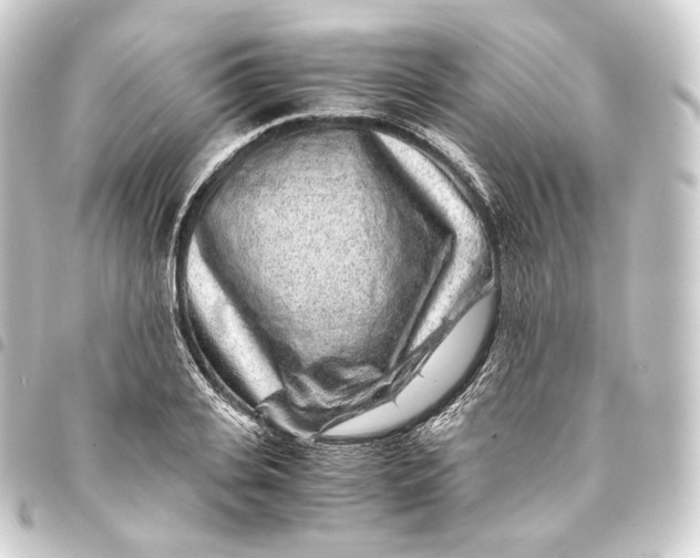 X0000093430935200711021031