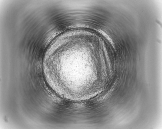 X0000093430937200711021031