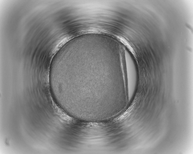 X0000093430938200711021031