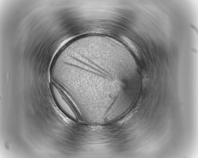 X0000093430940200711021031