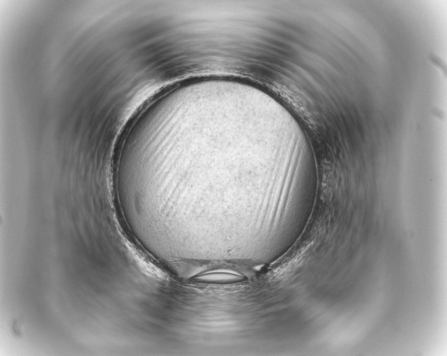 X0000093430942200711021031