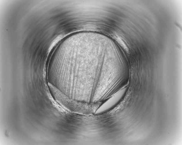 X0000093430944200711021031