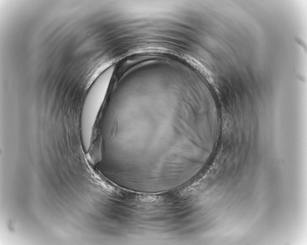 X0000093430945200711021031