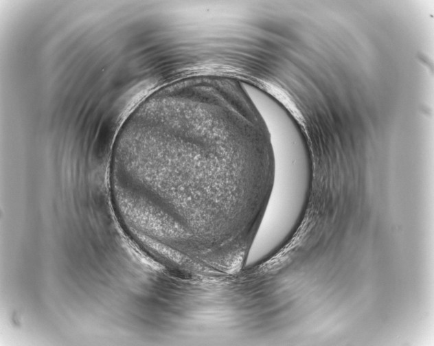 X0000093430946200711021031