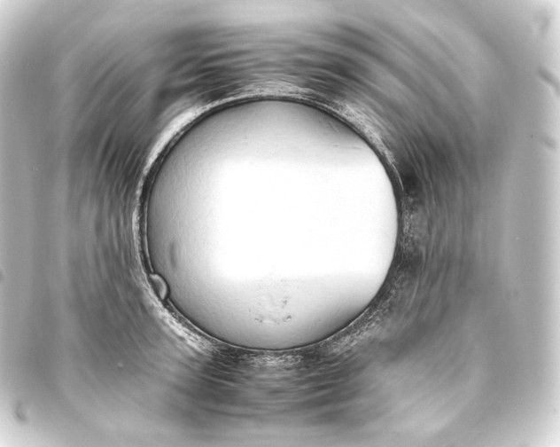 X0000093430947200711021031