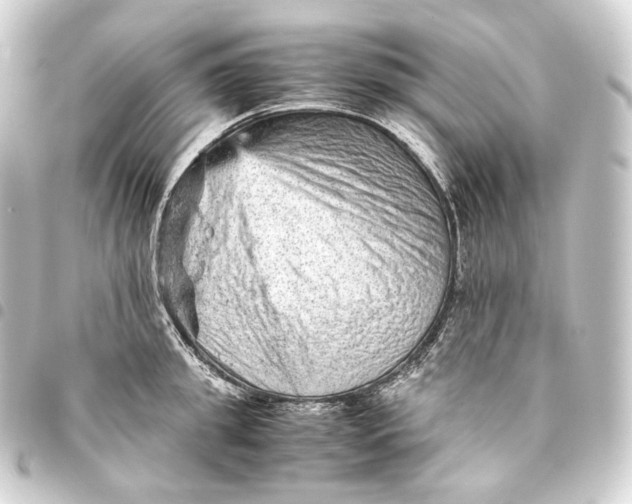 X0000093430949200711021031