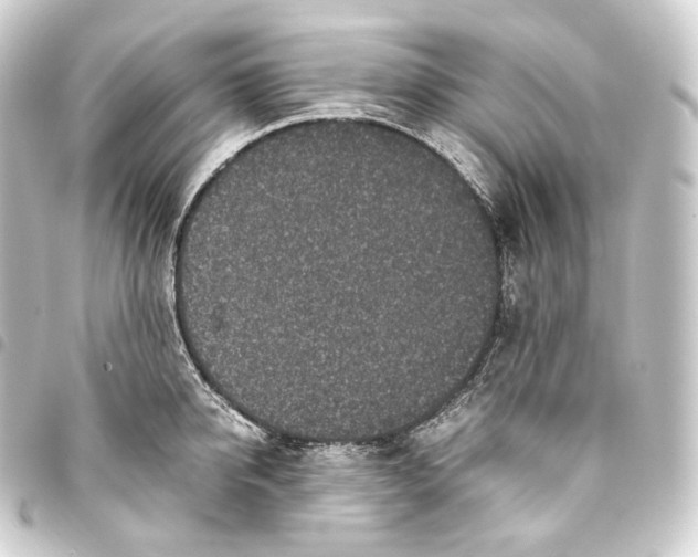 X0000093430950200711021031