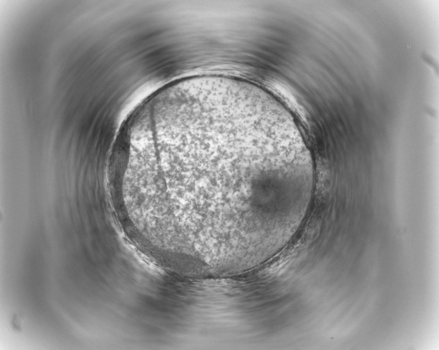 X0000093430952200711021031