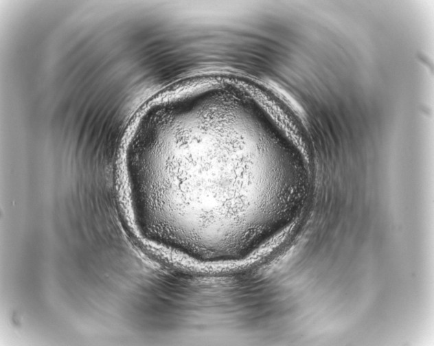 X0000093430953200711021031