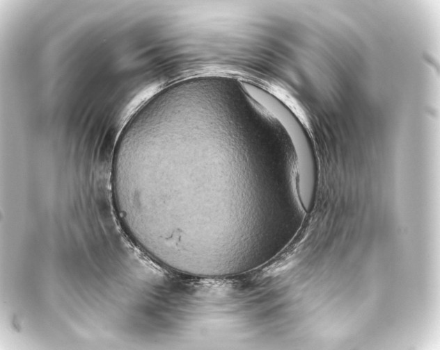 X0000093430954200711021031