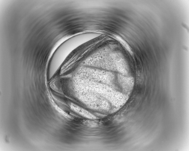 X0000093430955200711021031