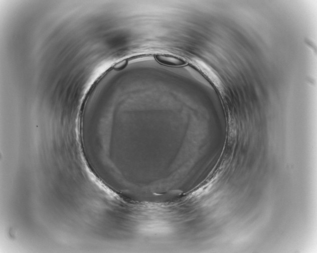 X0000093430958200711021031