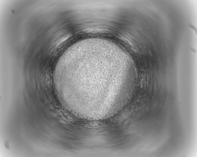 X0000093430966200711021031