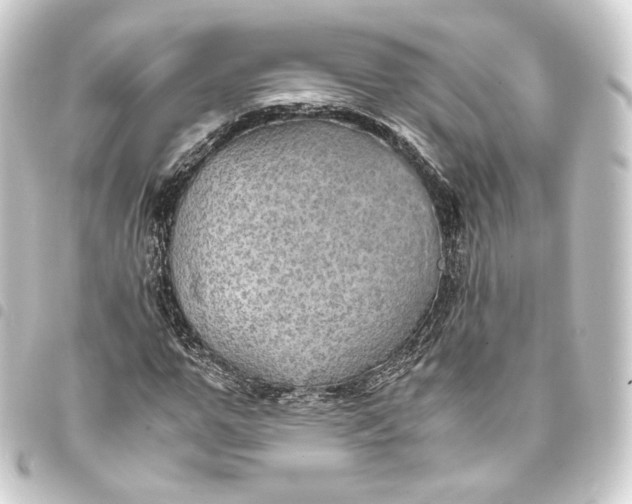 X0000093430967200711021031