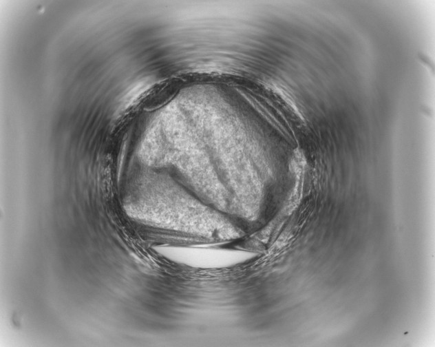 X0000093430968200711021031