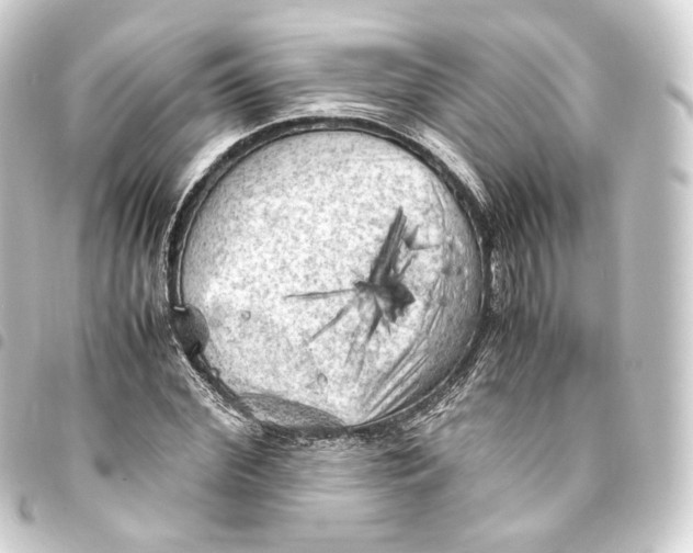 X0000093430972200711021031