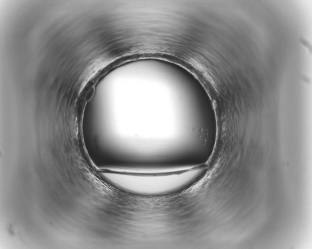 X0000093430973200711021031