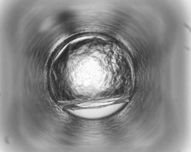 X0000093430975200711021031