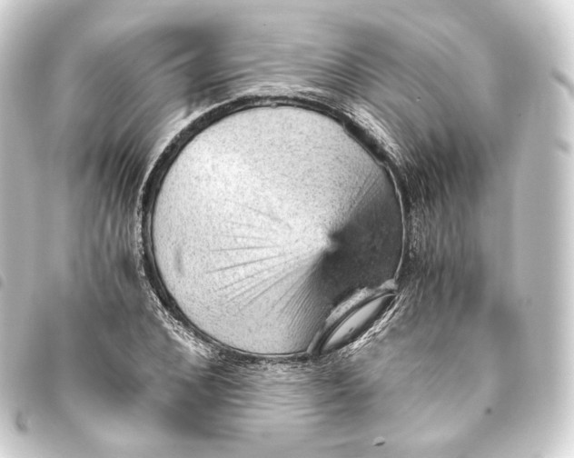 X0000093430976200711021031