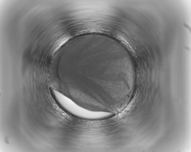 X0000093430977200711021031