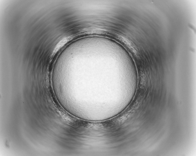 X0000093430978200711021031