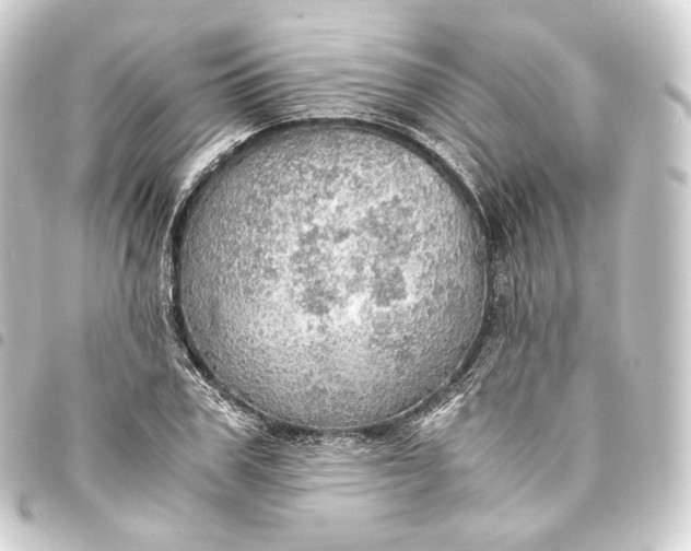 X0000093430979200711021031