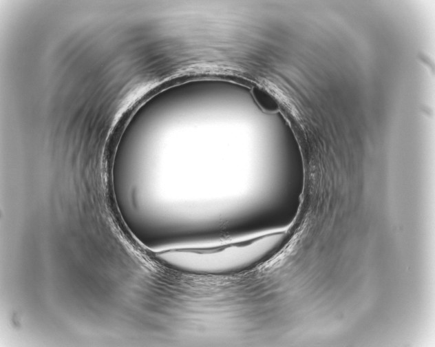 X0000093430981200711021031