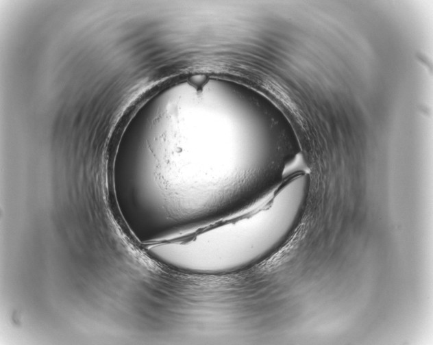 X0000093430984200711021031