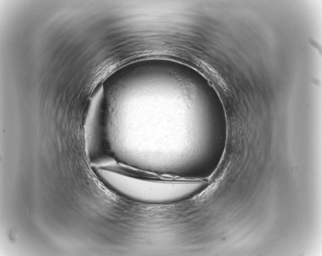 X0000093430985200711021031