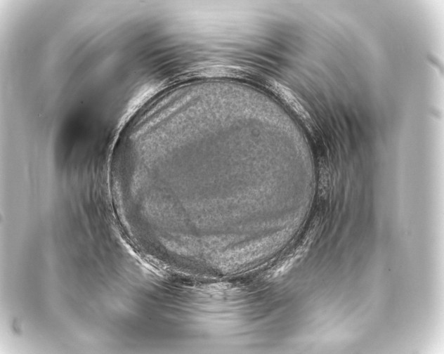 X0000093430986200711021031