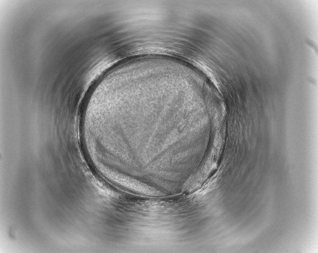 X0000093430987200711021030