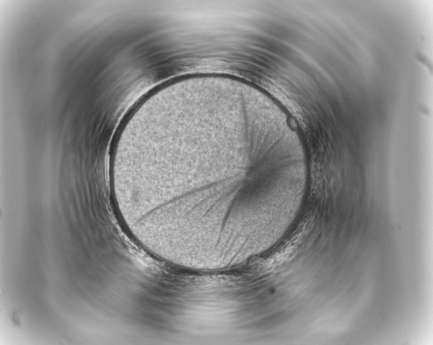 X0000093430988200711021030