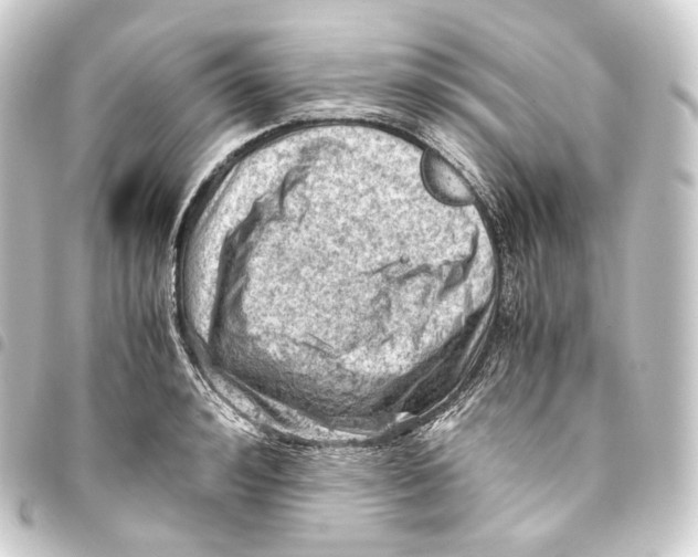 X0000093430992200711021030