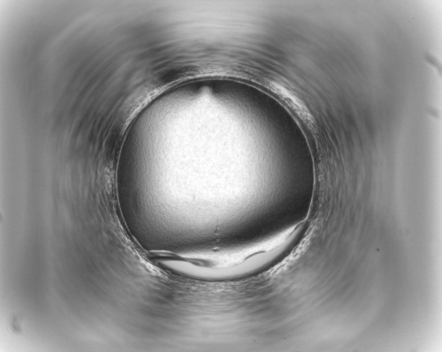 X0000093430993200711021030