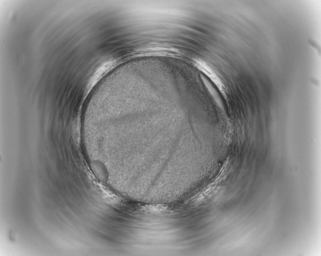 X0000093430994200711021030