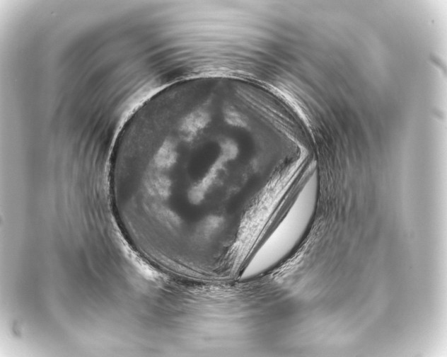 X0000093430995200711021030