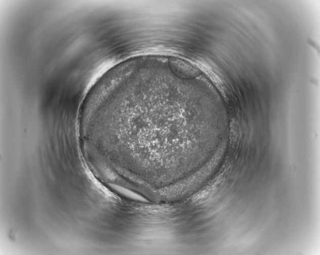 X0000093430998200711021030