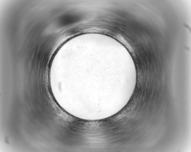 X0000093431000200711021030