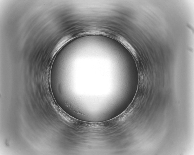 X0000093431002200711021030