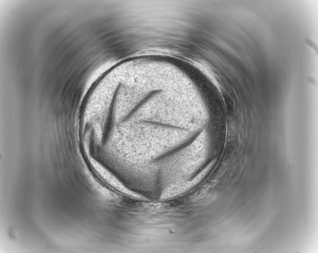 X0000093431003200711021030