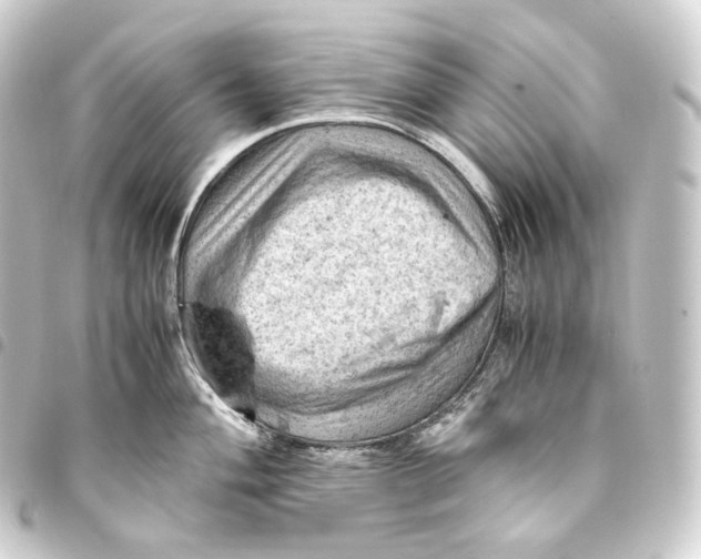 X0000093431004200711021030