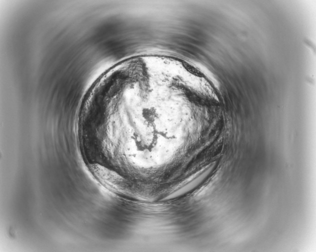 X0000093431007200711021030